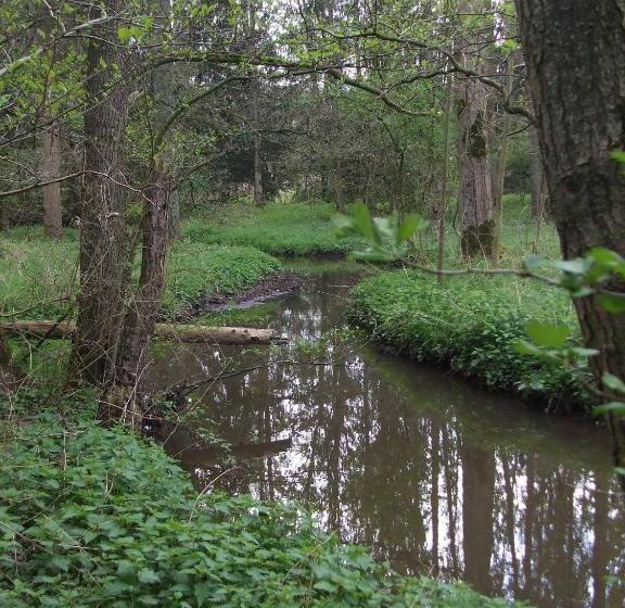 호텔 Farm Stay Luythoeve