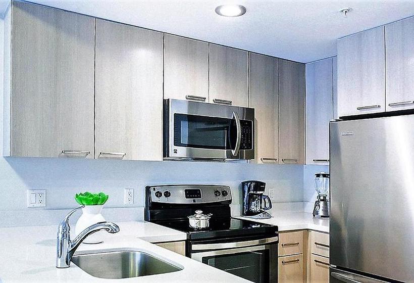 فندق Stay Alfred Brickell