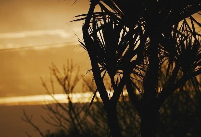 膳宿费 Bosavern House