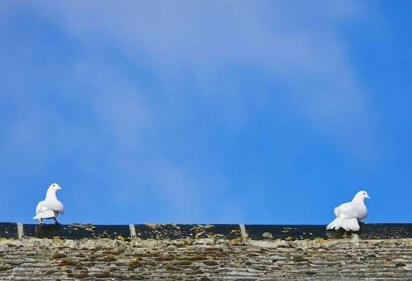 ペンション Bosavern House