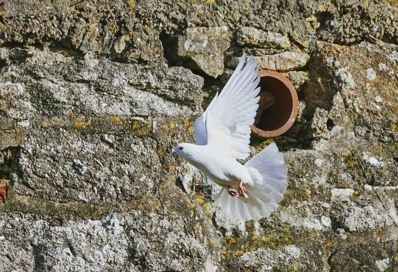 ペンション Bosavern House