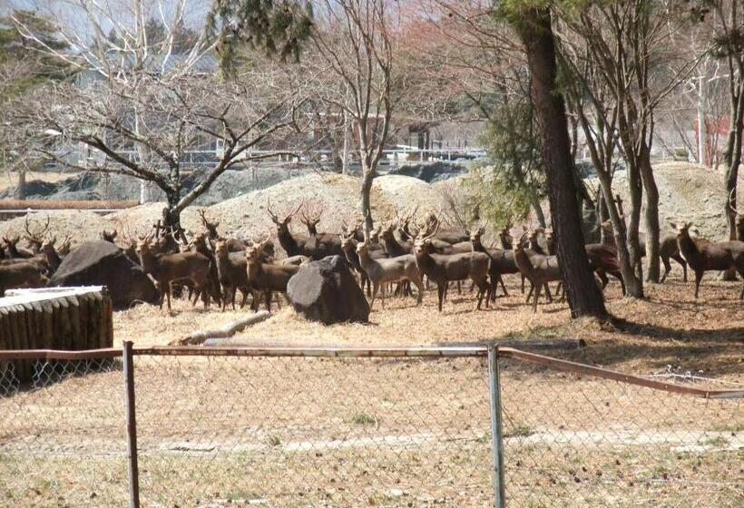 ペンション Gasthof Ascot