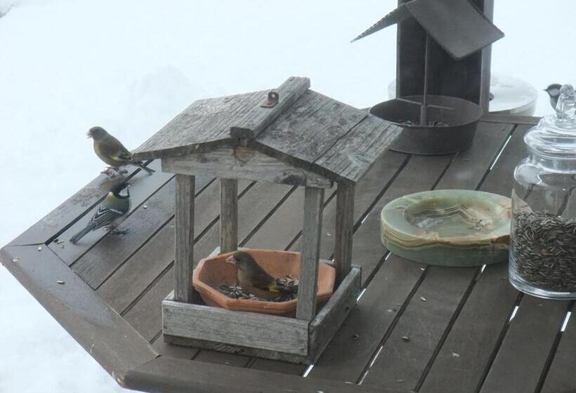 ペンション Gasthof Ascot