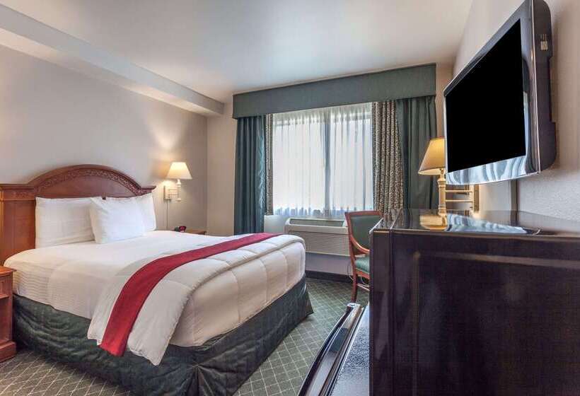 فندق Baymont Inn & Suites By Wyndham