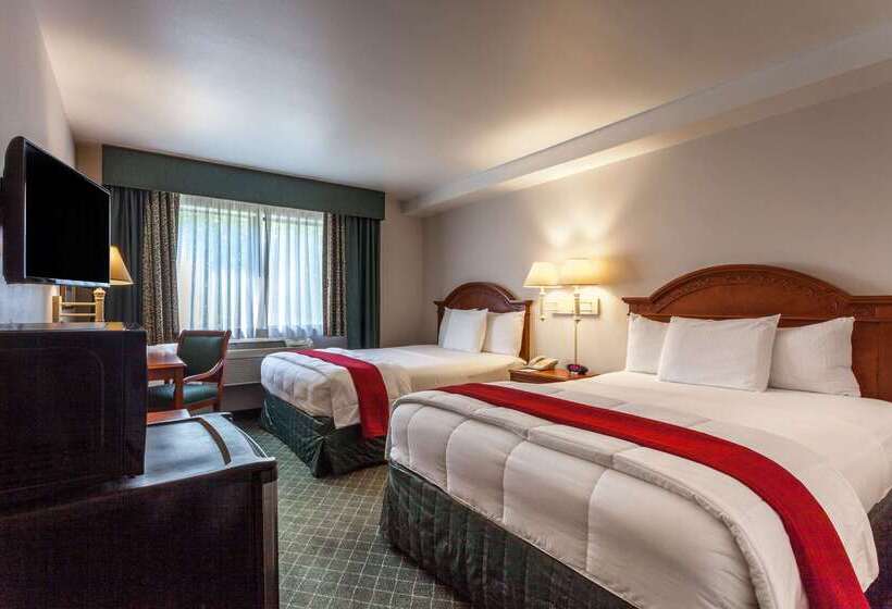 فندق Baymont Inn & Suites By Wyndham