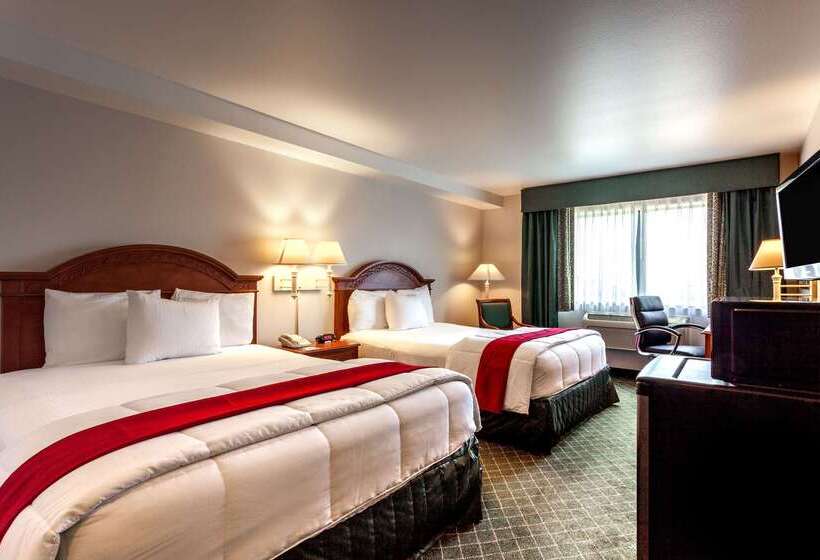 فندق Baymont Inn & Suites By Wyndham