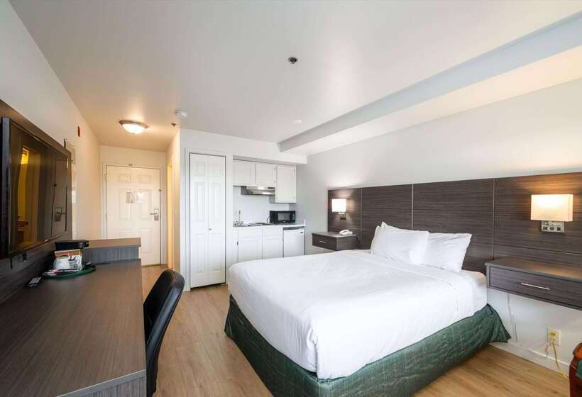 فندق Baymont Inn & Suites By Wyndham