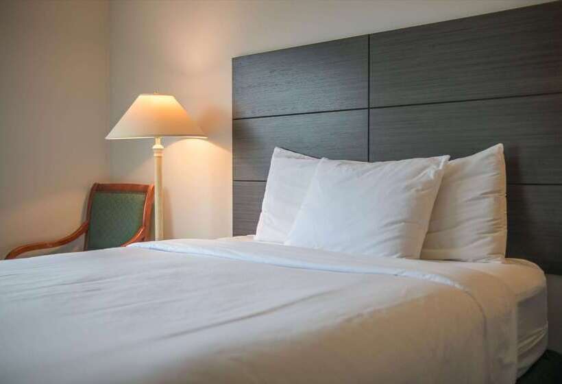 فندق Baymont Inn & Suites By Wyndham