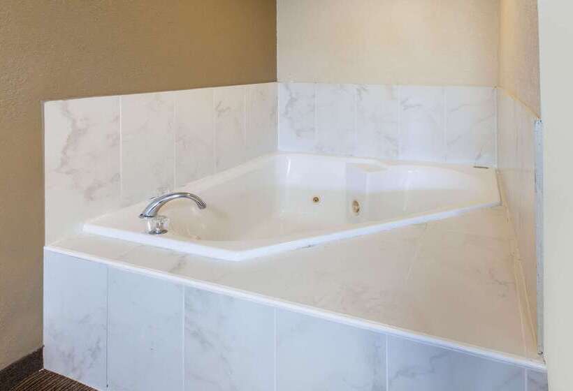 酒店 Baymont By Wyndham Downtown Detroit