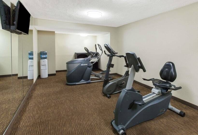 هتل Baymont By Wyndham Downtown Detroit