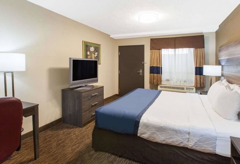 酒店 Baymont By Wyndham Downtown Detroit