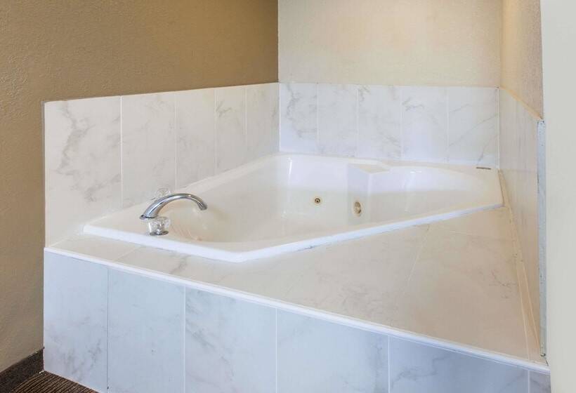 هتل Baymont By Wyndham Downtown Detroit