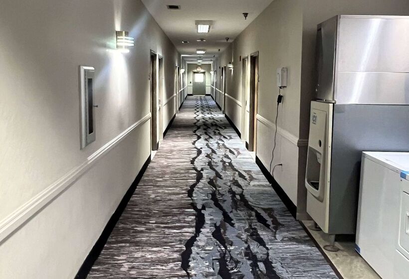 בית מלון כפרי Days Inn By Wyndham Denham Springsbaton Rouge East