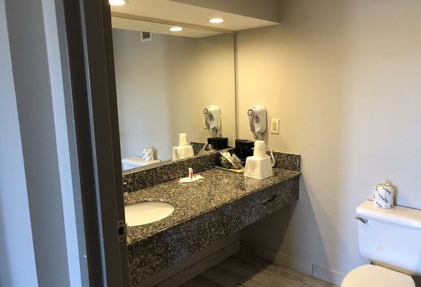 酒店 Red Roof Inn Franklin, Tn