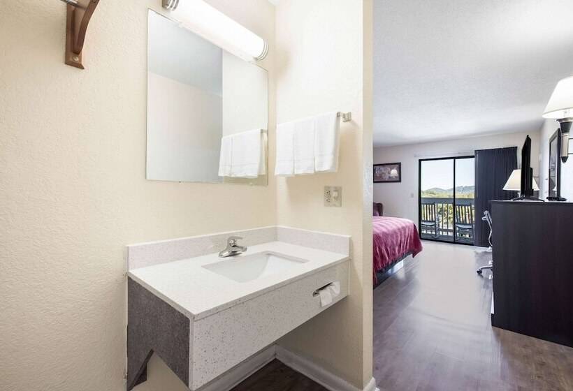 ホテル Econo Lodge   Waynesville