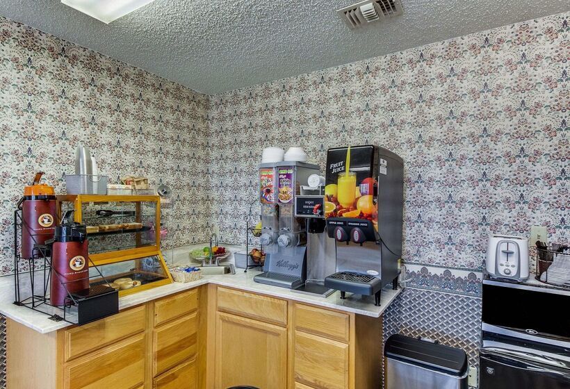 酒店 Econo Lodge Falfurrias Hwy 281