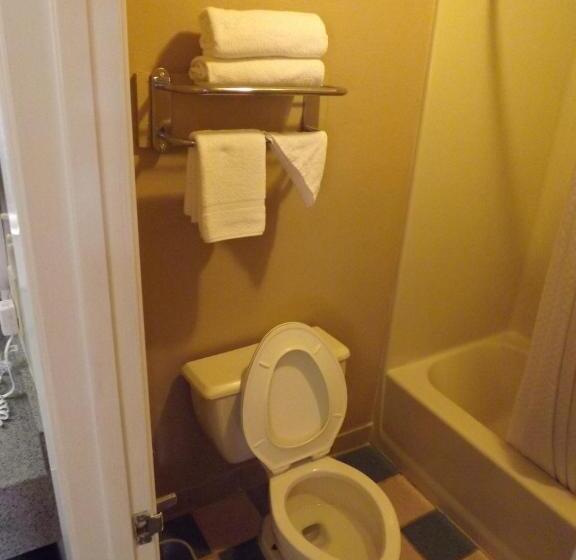 בית מלון כפרי Executive Inn Kilgore