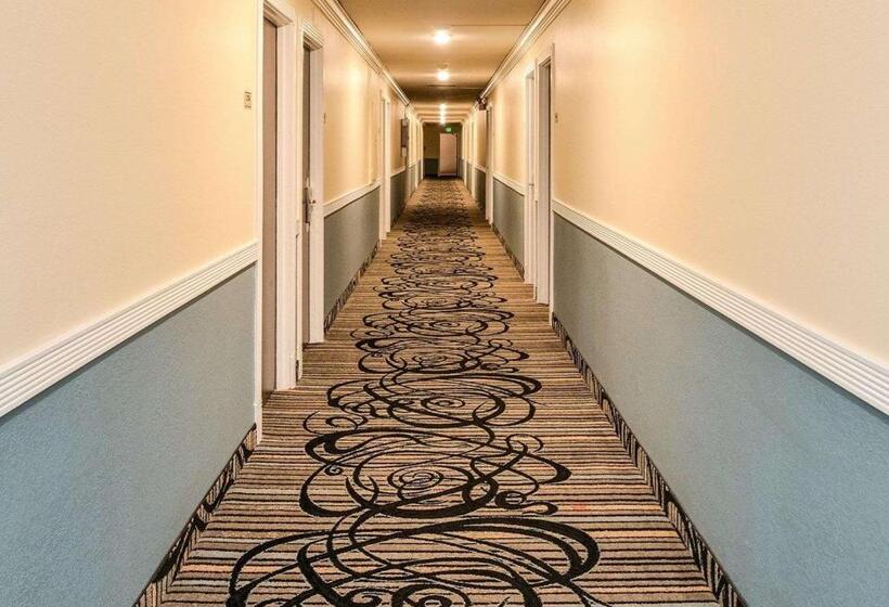 Quality Inn Hotel, Kent Seattle