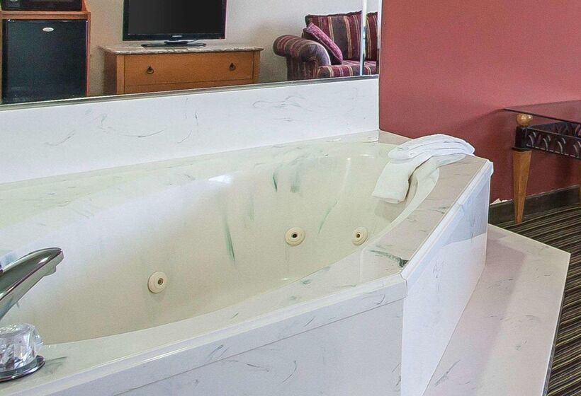 فندق Econo Lodge Inn & Suites