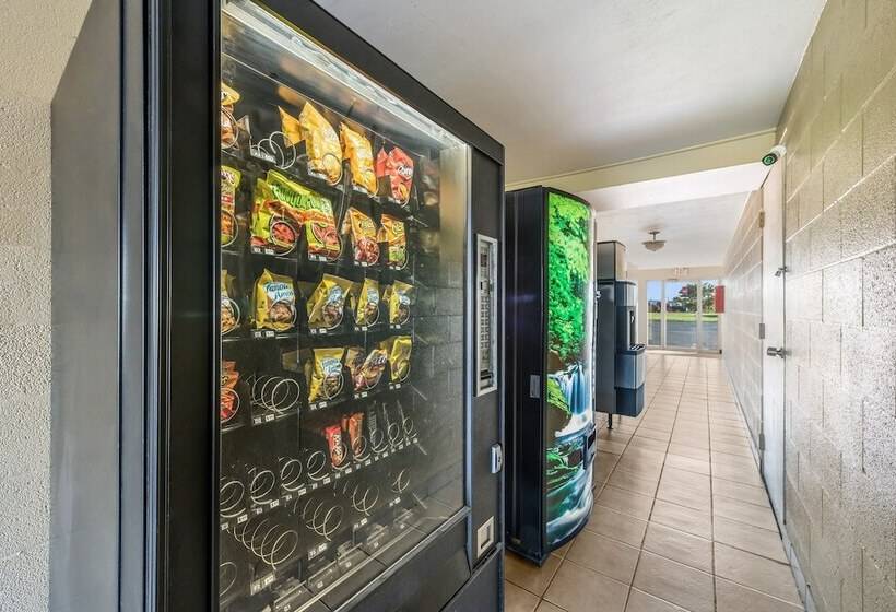 בית מלון כפרי Red Roof Inn & Suites Wapakoneta