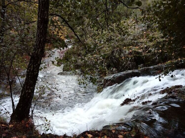 Casas Rurales Prunus Avium