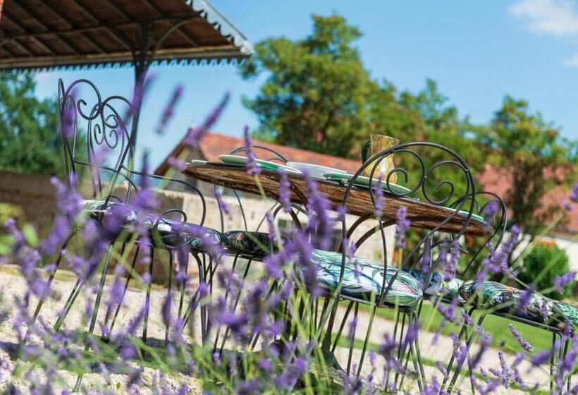 Chai Du Chateau De Morteuil