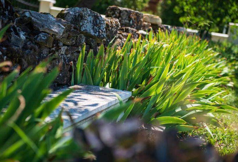 Chai Du Chateau De Morteuil