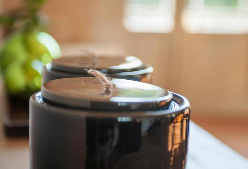 Chai Du Chateau De Morteuil