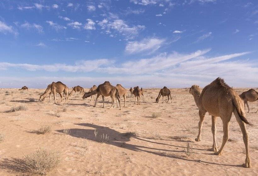 בית מלון כפרי Camp Mars