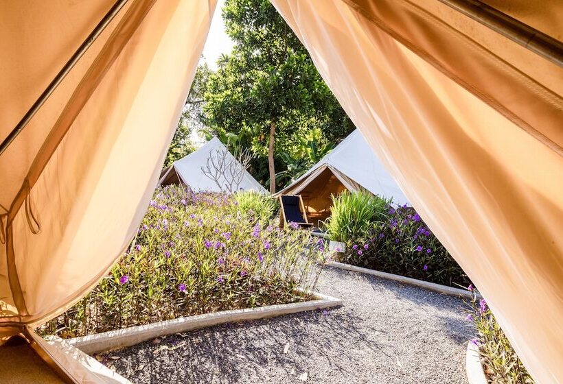ホテル Roost Glamping   Sha Certified