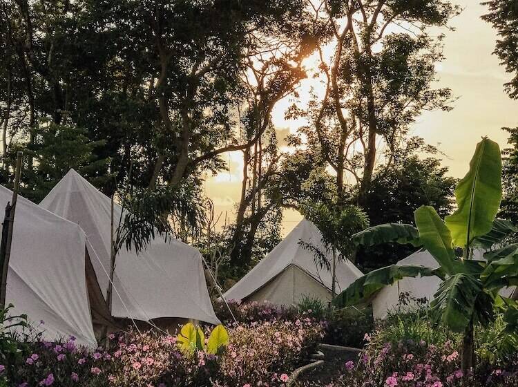 ホテル Roost Glamping   Sha Certified