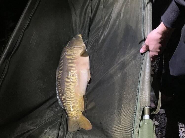 Lakeside Fishing Lodges