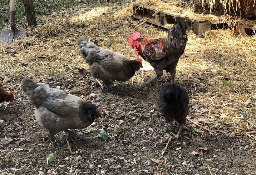 ペンション Au Coq Des Bois