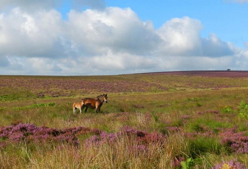 بنسيون Blindwell Farm
