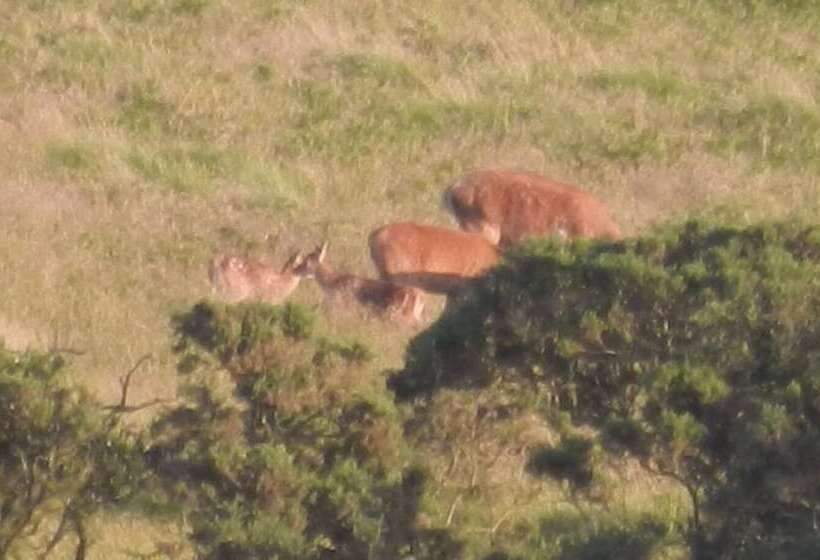 بنسيون Blindwell Farm