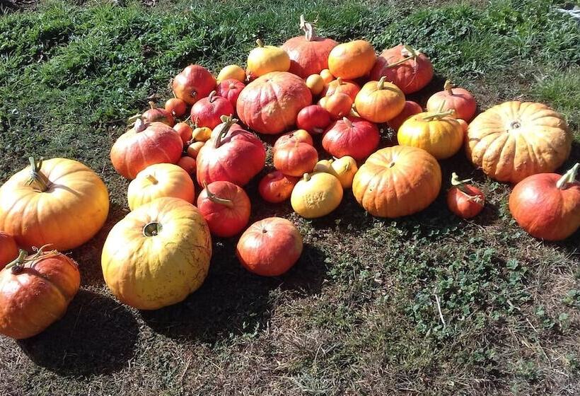 ペンション Chez Louis Chambres D Hôtes