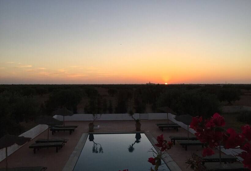 ペンション Domaine El Manar