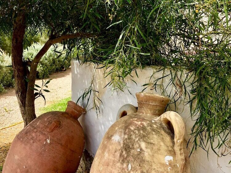 ペンション Domaine El Manar