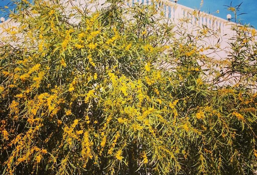 ペンション Domaine El Manar