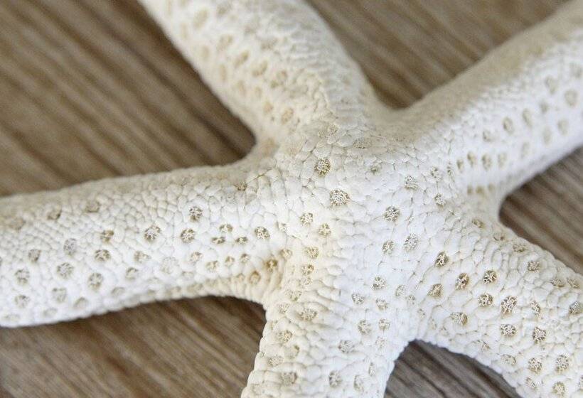 پانسیون La Lisière Du Bétey