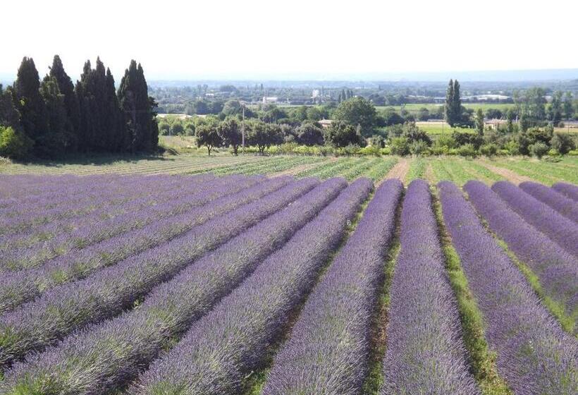 Пансион Le Mas Des Sorcières Maison D Hôtes