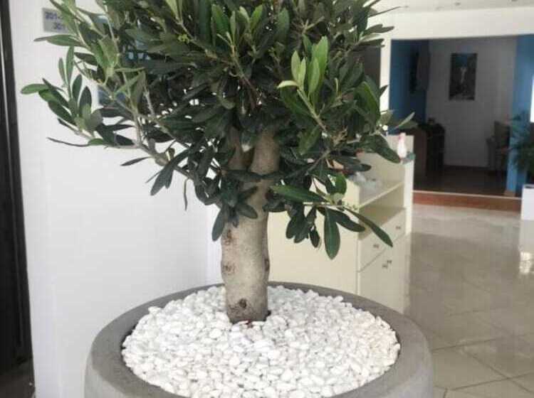 فندق Carisa Maleme