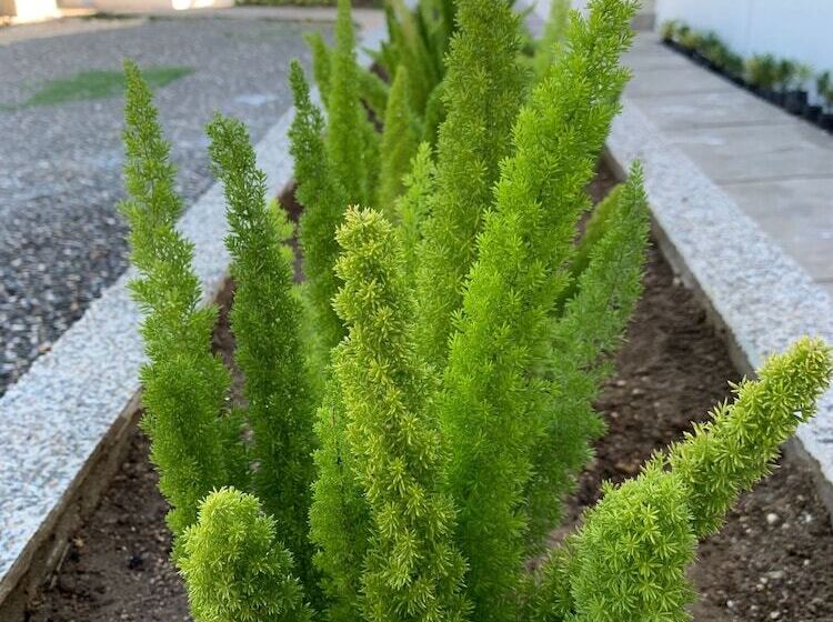 酒店 Cebu R Resort Tabuelan