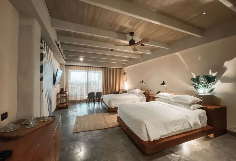 Отель Estudio Playa Mujeres  Family Experience All Inclusive Resort