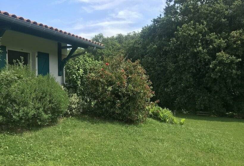 ペンション Amalur