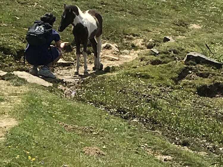 ペンション Amalur