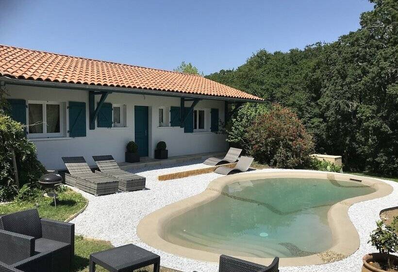 ペンション Amalur