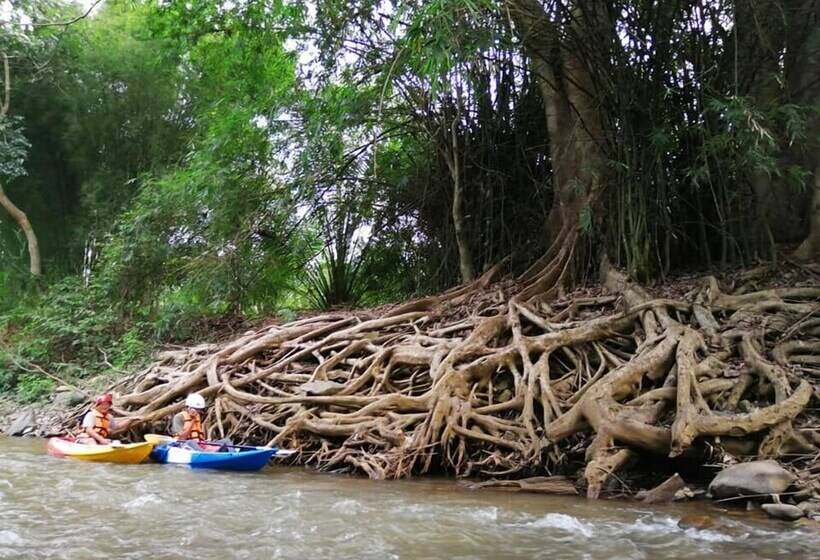 Pensió Art Khamu Homestay