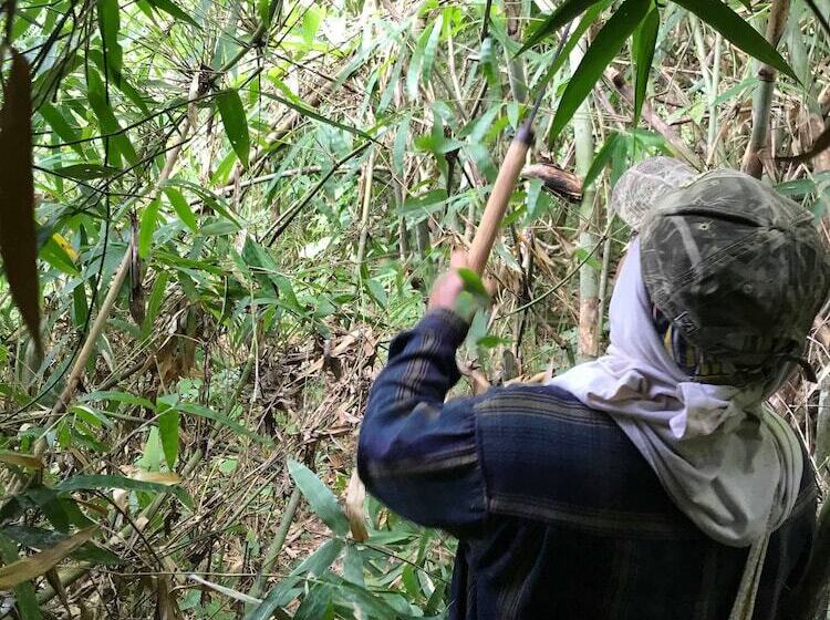 Pensió Art Khamu Homestay