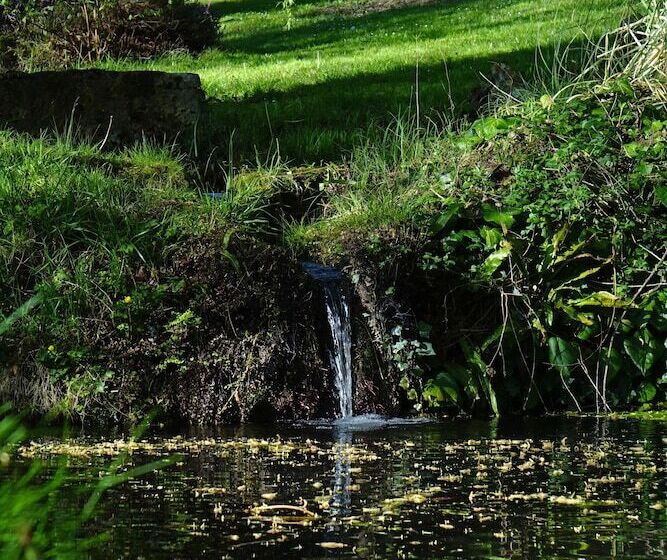 膳宿费 Au Pre Des Sources